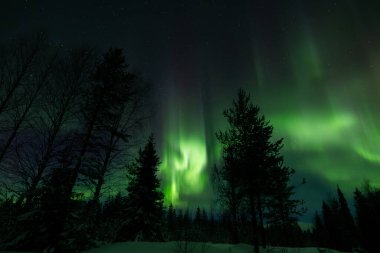 Kuzey Işıkları. Gece gökyüzünde yıldızlı Aurora Borealis. Oyun RPG soyut arkaplan ve dokusu, desen.
