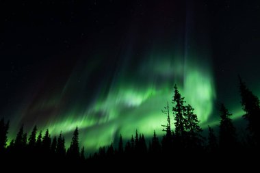 Kuzey Işıkları 'nın büyüleyici cazibesine kapıl. Canlı gökyüzü renkleri gece gökyüzünde dans ediyor,