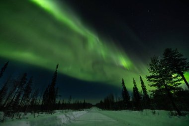 Muhteşem aurora borealis (Kuzey ışıkları) Finlandiyalı Lapland bir karlı kış manzara üzerinde.