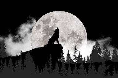 Siyah ve beyaz kurt aya karşı uluyor