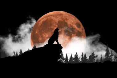 Uluyan kurdun silueti koyu tonlu kan arka planına ve dolunaya karşı ya da dolunayda uluyan kurt siluetine karşı. Cadılar Bayramı korku konsepti.