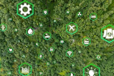 Çevre koruma, yenilenebilir, sürdürülebilir enerji kaynakları. Ampul kavramında büyüyen bitki. Sürdürülebilir gelişim. ekoloji ve dünya sürdürülebilir çevre kavramı.