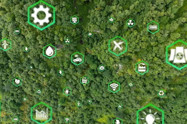 Çevre koruma, yenilenebilir, sürdürülebilir enerji kaynakları. Ampul kavramında büyüyen bitki. Sürdürülebilir gelişim. ekoloji ve dünya sürdürülebilir çevre kavramı.