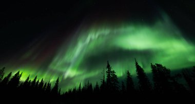 Kuzey ışıkları, gece gökyüzündeki Aurora Borealis Lapland, Finlandiya 'daki donmuş göl üzerinde.