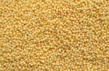 Close-up macro shot of the dry millet grains lying on a flat surface. The photo shows the fine details and the texture of the product and can be used as a background. The grains are well and evenly lit. Millet is a fast-growing cereal plant.