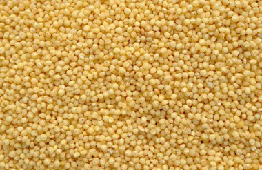 Close-up macro shot of the dry millet grains lying on a flat surface. The photo shows the fine details and the texture of the product and can be used as a background. The grains are well and evenly lit. Millet is a fast-growing cereal plant. clipart