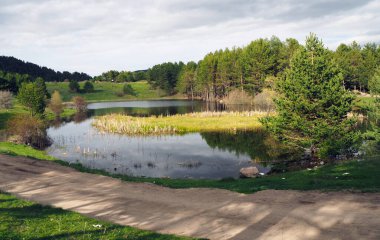 Ormandaki gölün etrafında yürüyüş yolu. Karagol 'un Ankara Kizilhamam ilçesindeki volkanik göl. Kimseyle göl manzarası. İnanılmaz göl manzarası.