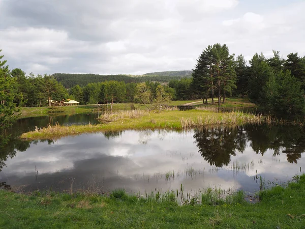 Utsikt Över Karagol Lake National Park Landskap Fjällsjö Framför Tallskog — Stockfoto