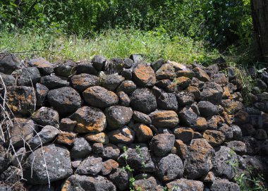 Granit yosun, doğada kaya yosunu olarak da bilinir. Yosun kaplı taş duvar.