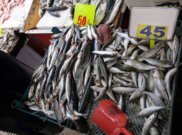Fischverkäufer Kleine Blaue Fische Und Sardellen Stand Blauer Fisch Fokus lizenzfreie Stockbilder