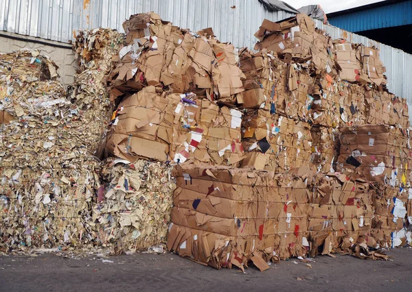 Geri dönüşüm için toplanan atık kağıt ve karton.