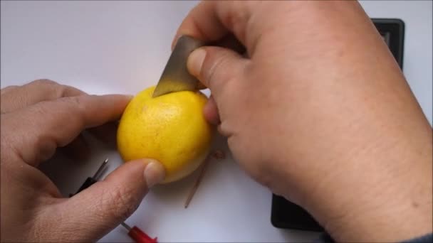 バイオバッテリー レモンから電気を発生させ ボルトメーターで測定する ミリボルトレベルでの電圧 — ストック動画