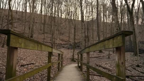 Wideo Spokojnym Drewnianym Szlakiem Wiodącym Przez Las Wzgórze — Wideo stockowe
