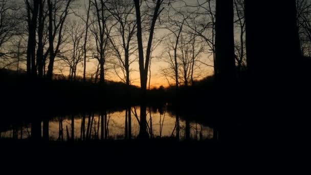 夕阳西下的宁静湖景 被茂密的森林笼罩着 — 图库视频影像