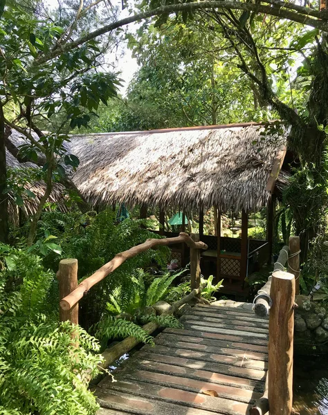 Üdülőhely Tematikus Híddal Dzsungelben — Stock Fotó