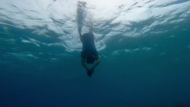Dykker Stiger Til Overfladen Efter Hav Eventyr Vandet – Stock-video