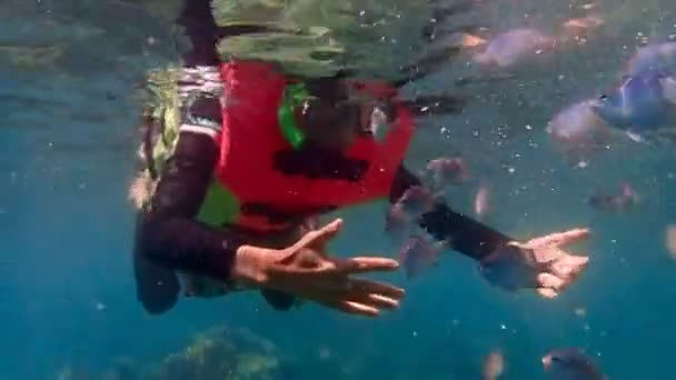 Persona Acqua Nuotare Con Pesci — Video Stock