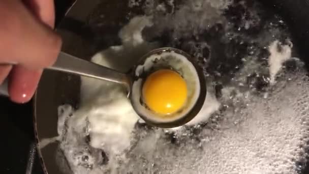 Eier Von Der Sonnenseite Auf Einzigartige Und Perfekte Weise Herstellen — Stockvideo