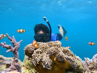 Suyun altında renkli balıklı bir adam, Karimunjawa