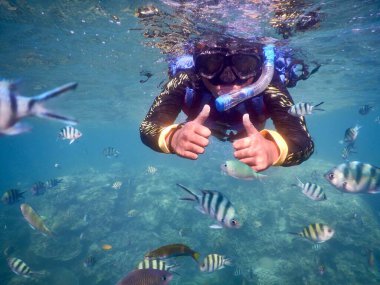 Şnorkelle yüzen çocuk güzel mercan ve balıklarla berrak mavi okyanus suyuna dalıyor. Suyun altında şnorkelle dalış maskesiyle keşif yapmak ve eğlenmek. Yüzme