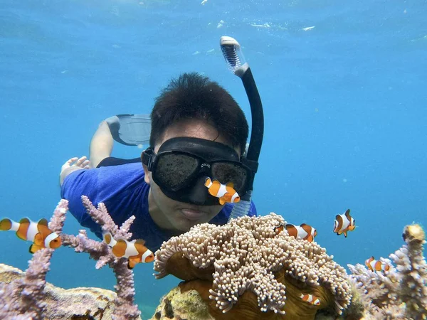 潜水面罩潜水与热带鱼在珊瑚礁海塘 旅游生活方式 户外运动 与孩子在暑假期间的游泳课程 — 图库照片