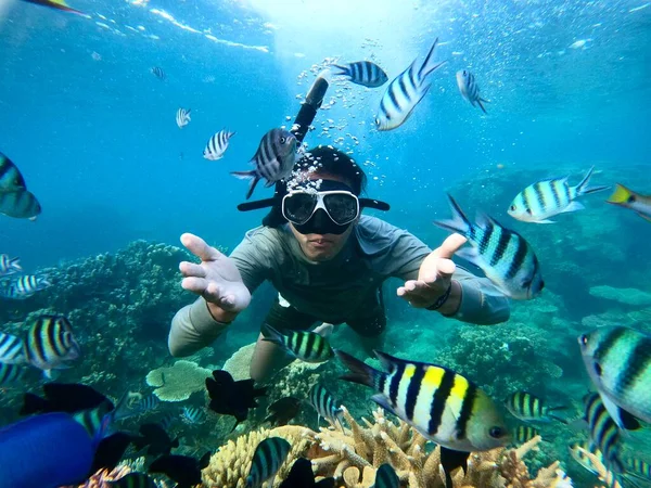 Człowiek Nurkowanie Dużą Ilością Ryb Piękne Koralowce Idealny Podróży Medium — Zdjęcie stockowe