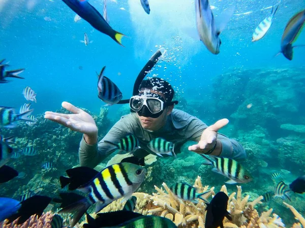 Człowiek Nurkowanie Dużą Ilością Ryb Piękne Koralowce Idealny Podróży Medium — Zdjęcie stockowe