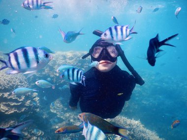Kadın mavi suya dalış. Şnorkel başparmak tam yüz maskesi içinde gösterir. Yaz etkinliği. Deniz suyu güzel kız. Sualtı fotoğraf okyanus manzara. Deniz macera. Su sporları tropik deniz