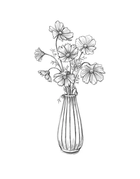 Flower Vase Cosmea White Background — Stockfoto