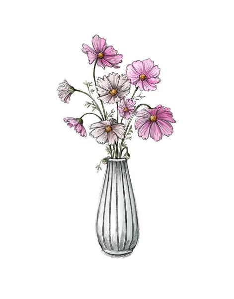 Flower vase with cosmea on a white background