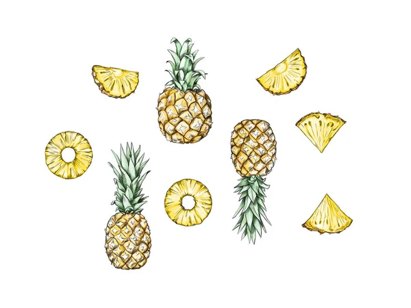Pineapple 'ın tasviri, beyaz bir grupta çeşitli parçalar ve dilimler