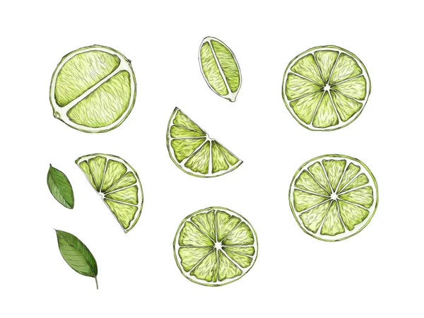 Bazı limonların yapraklı dilimler ve parçalar olarak tasvir edilmesi