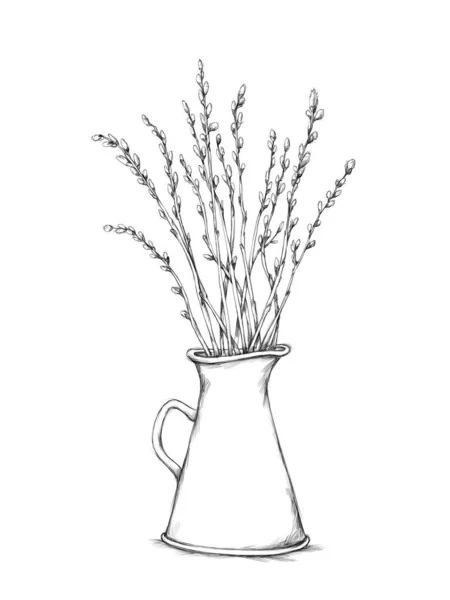 Illustration Pitcher Pussy Willow Branches White Background — Fotografia de Stock