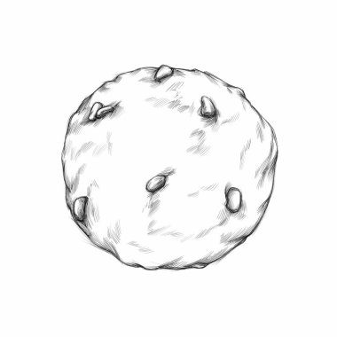 Illustration of a Round biscuit with chocolate chips