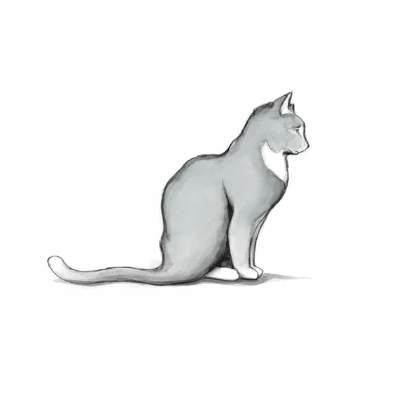 Suluboya Gri Bir Kedi Tasviri — Stok fotoğraf