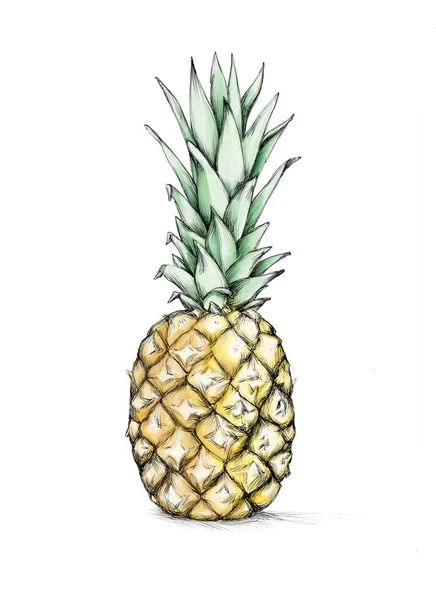 Ilustracja Ananasa Kolorze — Zdjęcie stockowe