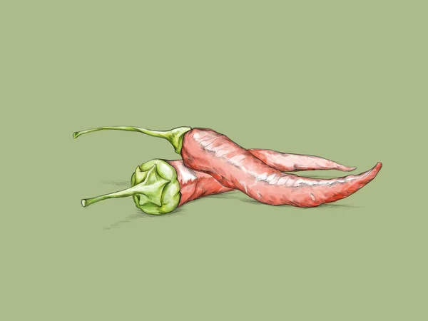 Иллюстрация Двух Красных Острых Перцев Зеленом Фоне — стоковое фото