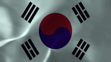 Güney Kore bayrağı. Güney Kore Animasyon Filmi Ulusal Bayrağı 'nın dokusu Güney Kore Bayrak Dalgalanması