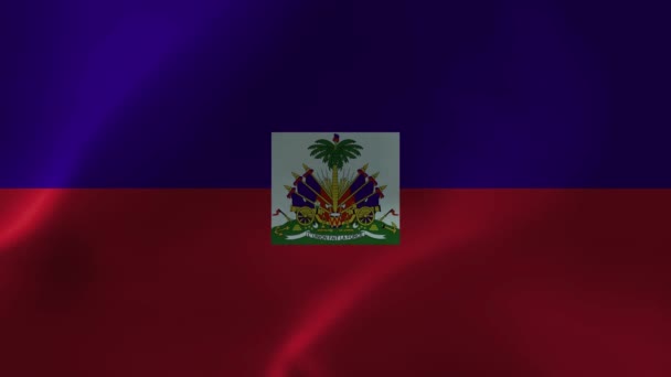 Прапор Хайті Текстура Тканини Національний Прапор Гаїті Анімація Стокове Відео — стокове відео