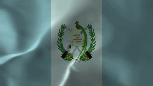Flag Guatemala Texture Fabric National Flag Guatemala Animation Stock Video — Stock Video