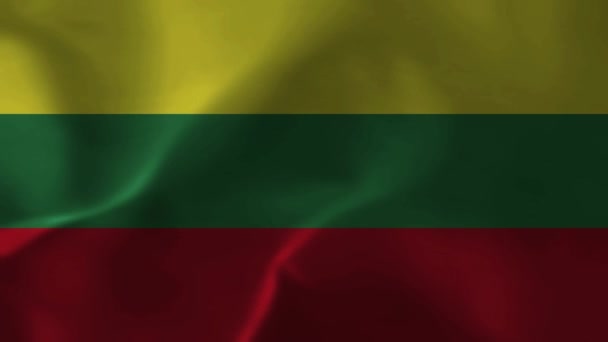 Bandiera Della Lituania Trama Del Tessuto Bandiera Nazionale Della Lituania — Video Stock