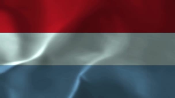 Flaga Luksemburga Tekstura Tkaniny Flaga Narodowa Luksemburga Film Animacyjny Luksemburska — Wideo stockowe
