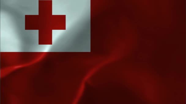 Bandera Tonga Bandera Tela Animación Fondo — Vídeo de stock