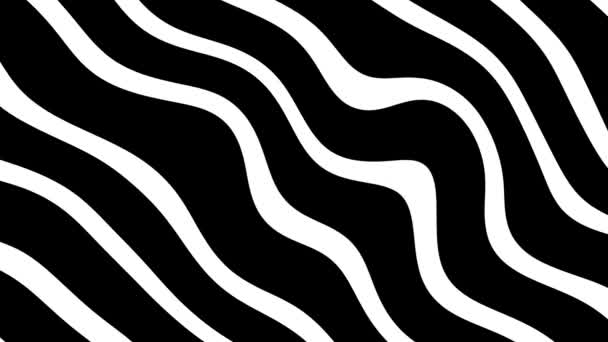 抽象的な黒い白い縞模様のパターンの背景 — ストック動画