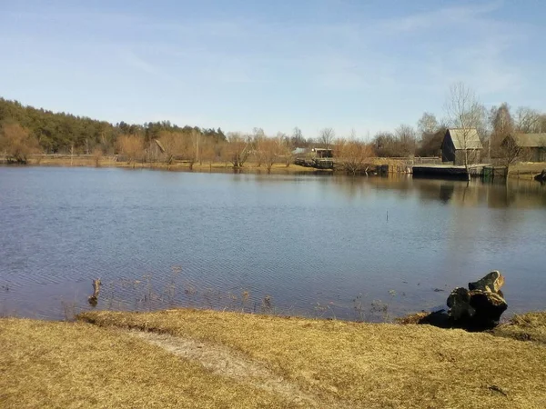 Lake in spring. A small lake outside the village