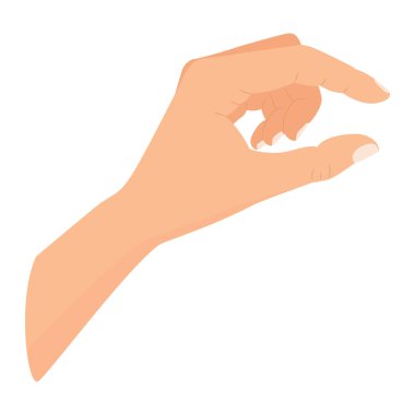 Bir elin vektör çizimi ölçü jesti yapıyor. Küçük bir miktar izole edilmiş bir şey gösterirken el hareketi yapmak. Yan görüntü, yakın çekim, el gösterimi ya da bir şey tutmak. Boyut kavramı