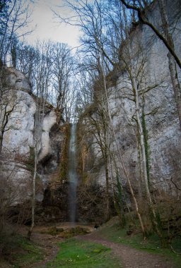 Ormanda şelalesi olan güzel bir manzara.
