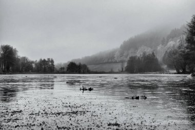 Nehir ve gölü olan güzel bir manzara.