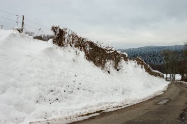 bord de route en hiver