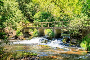 Yeşil nehir köprüsünün altında küçük bir şelale.